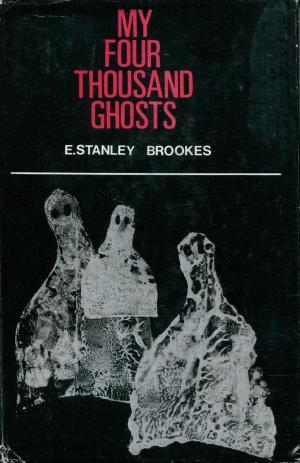 My Four Thousand Ghosts