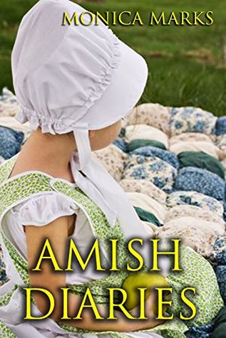 Amish Diaries (Kindle Edition)