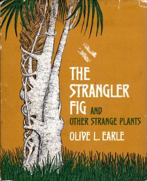 The Strangler Fig and Other Strange Plants (Hardcover)