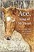 Ace, King of My Heart: An Assateague Pony's Tale of Strength and Survival