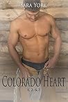 Colorado Heart by Sara York