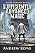 Sufficiently Advanced Magic (Arcane Ascension, #1)