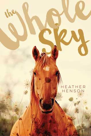 The Whole Sky (Hardcover)