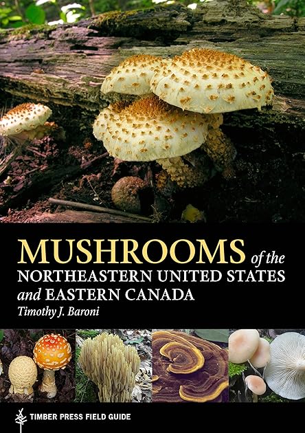 Mushrooms of the Northeastern United States and Eastern Canada (A Timber Press Field Guide)