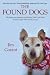 The Found Dogs: The Fates and Fortunes of Michael Vick's Pitbulls, 10 Years After Their Heroic Rescue (1)