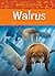 Animals Illustrated: Walrus