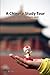 A Chinese Study Tour: Trave...