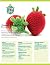 Sweet Strawberry (Crochet C...