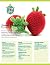 Sweet Strawberry by Jennifer Crowley
