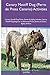 Canary Mastiff Dog (Perro de Presa Canario) Activities Canary Mastiff Dog Tricks, Games & Agility. Includes: Canary Mastiff Dog Beginner to Advanced Tricks, Series of Games, Agility and More