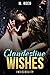 Clandestine Wishes: Invisib...