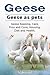 Geese as pets. Geese Keepin...