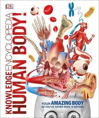 Knowledge Encyclopedia Human Body! (Hardcover)