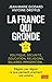 La France qui gronde (French Edition)