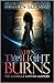 When Twilight Burns: The Gardella Vampire Hunters, 4