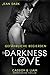 Gefährliche Begierden: The Darkness of Love: Cassidy & Liam (German Edition)