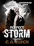 Perfect Storm (Judah Black Novels, #1.5)