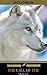 The Call of the Wild by Jack London