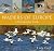 Waders of Europe