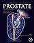 A Comprehensive Guide to the Prostate by Bilal Chughtai