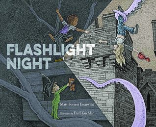 Flashlight Night (Hardcover)