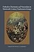 Orthodox Christianity and Nationalism in Nineteenth-Century Southeastern Europe (Orthodox Christianity and Contemporary Thought)