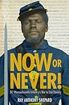 Now or Never! by Ray Anthony Shepard