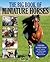 Big Book of Miniature Horses: Everything You Need to Know to Buy, Care for, Train, Show, Breed, and Enjoy a Miniature Horse