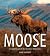 Moose: Crowned Giant of the...