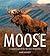 Moose: Crowned Giant of the Northern Wilderness