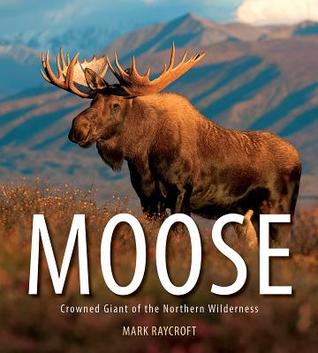 Moose: Crowned Giant of the Northern Wilderness (Paperback)