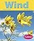 Wind (Weather)
