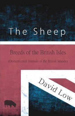 The Sheep (Domesticated Animals of the British Islands)