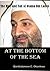 At the Bottom of the Sea: The Rise and Fall of Osama bin laden