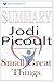 Summary: Small Great Things: A Novel by Jodi Picoult