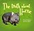 The Truth about Horrie by Kerry Kitzelman