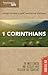 Shepherd's Notes: 1 Corinthians