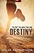 You Can't Run Away from Your Destiny by Obafemi Lucas