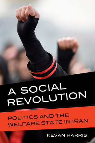 Social Revolution: Politics and the Welfare State in Iran (Paperback)