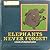 Elephants Never Forget! by Diane L. Burns
