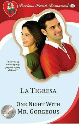 One Night With Mr Gorgeous