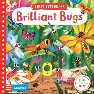 Brilliant Bugs (Board book)