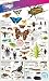 DKfindout! Bugs Poster