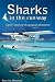 Sharks in the Runway: A Seaplane Pilot's Fifty-Year Journey Through Bahamian Times!