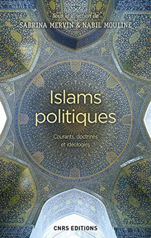 Islams politiques. Courants, doctrines et idéologies (French Edition)