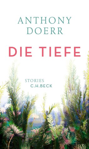 Die Tiefe (Hardcover)