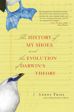 history of shoes book