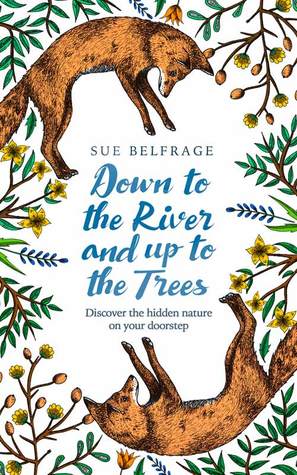 Down to the River and Up to the Trees: Discover the Hidden Nature on Your Doorstep