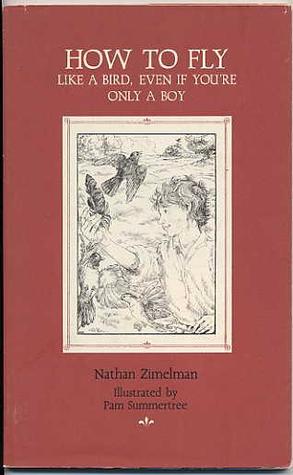 How to Fly Like a Bird Even If You're Only a Boy (Paperback)