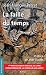 La Faille du temps (Roman historique) (French Edition)
